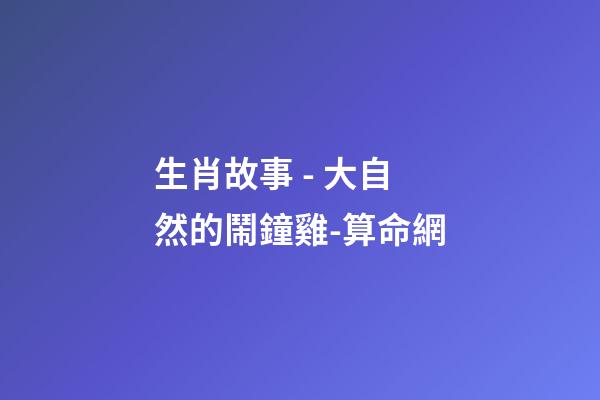 生肖故事 - 大自然的鬧鐘雞-算命網